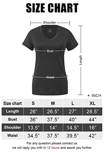 Dry Fit V-Neck Gym T-Shirts