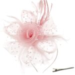 Fascinator Hat with Mesh, Ribbons, & Feathers