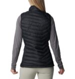Powder Pass Vest