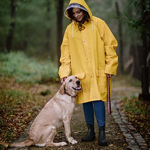 Waterproof Ankle Chelsea Rain Boots