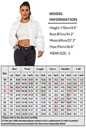 Lightweight Winter Crop Puffer Jacket