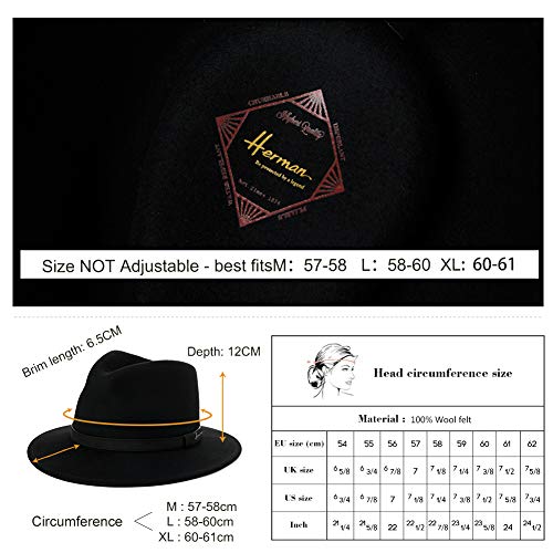 Stylish Wool Fedora Hat: Wide Brim, Trilby Fashion