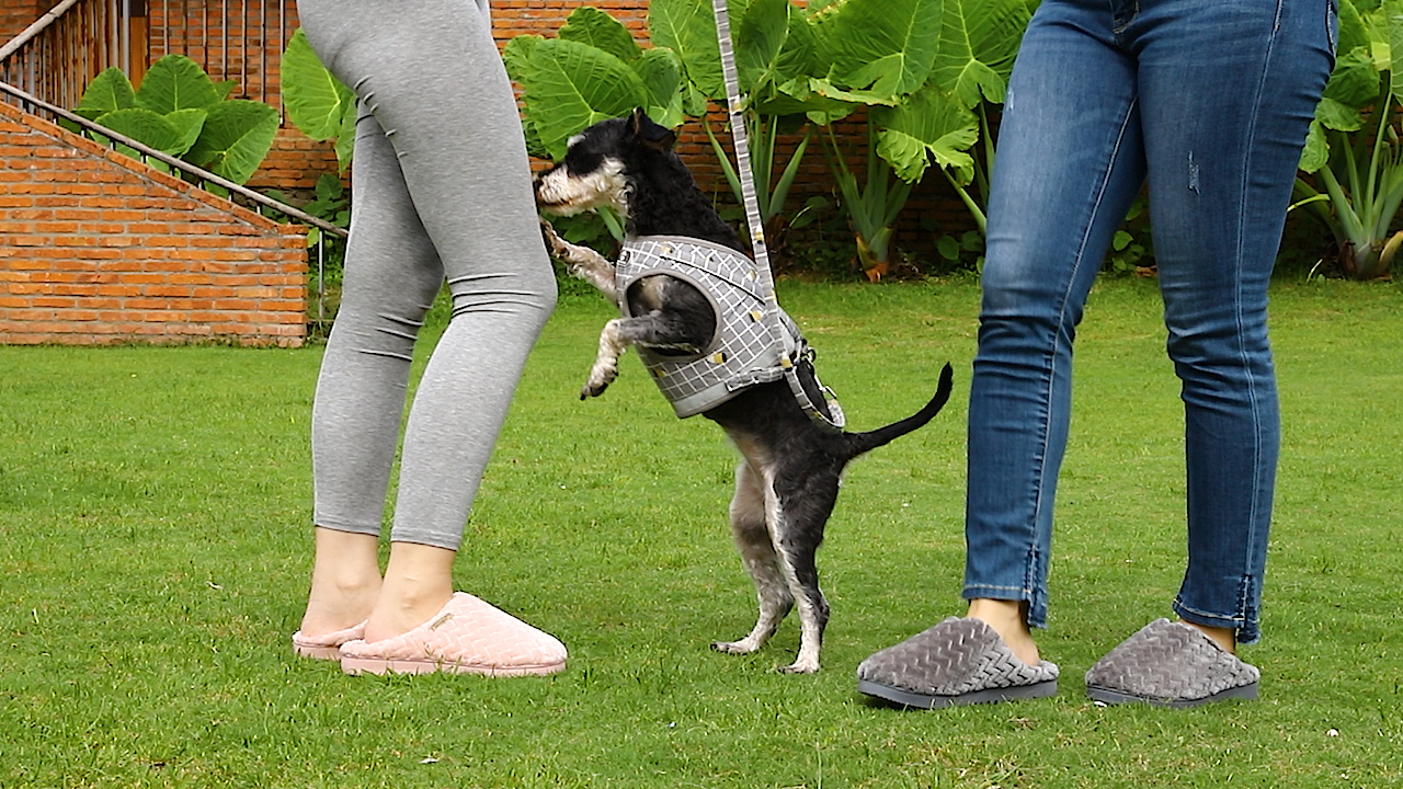 Flannel Memory Foam Slippers